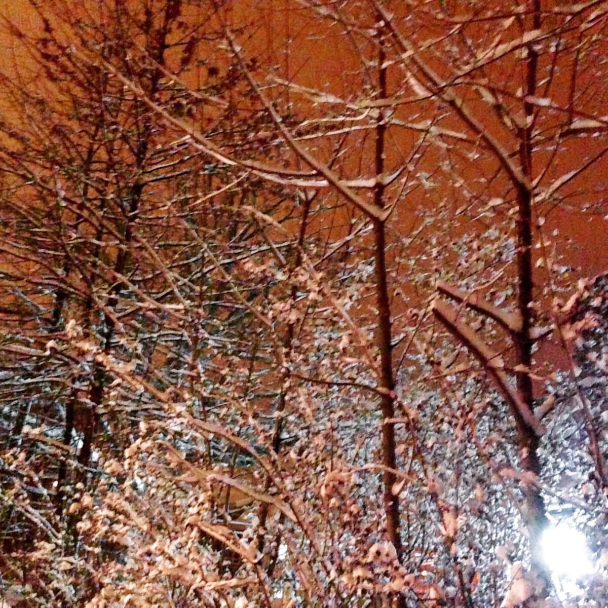 winter night in&nbsp;providence