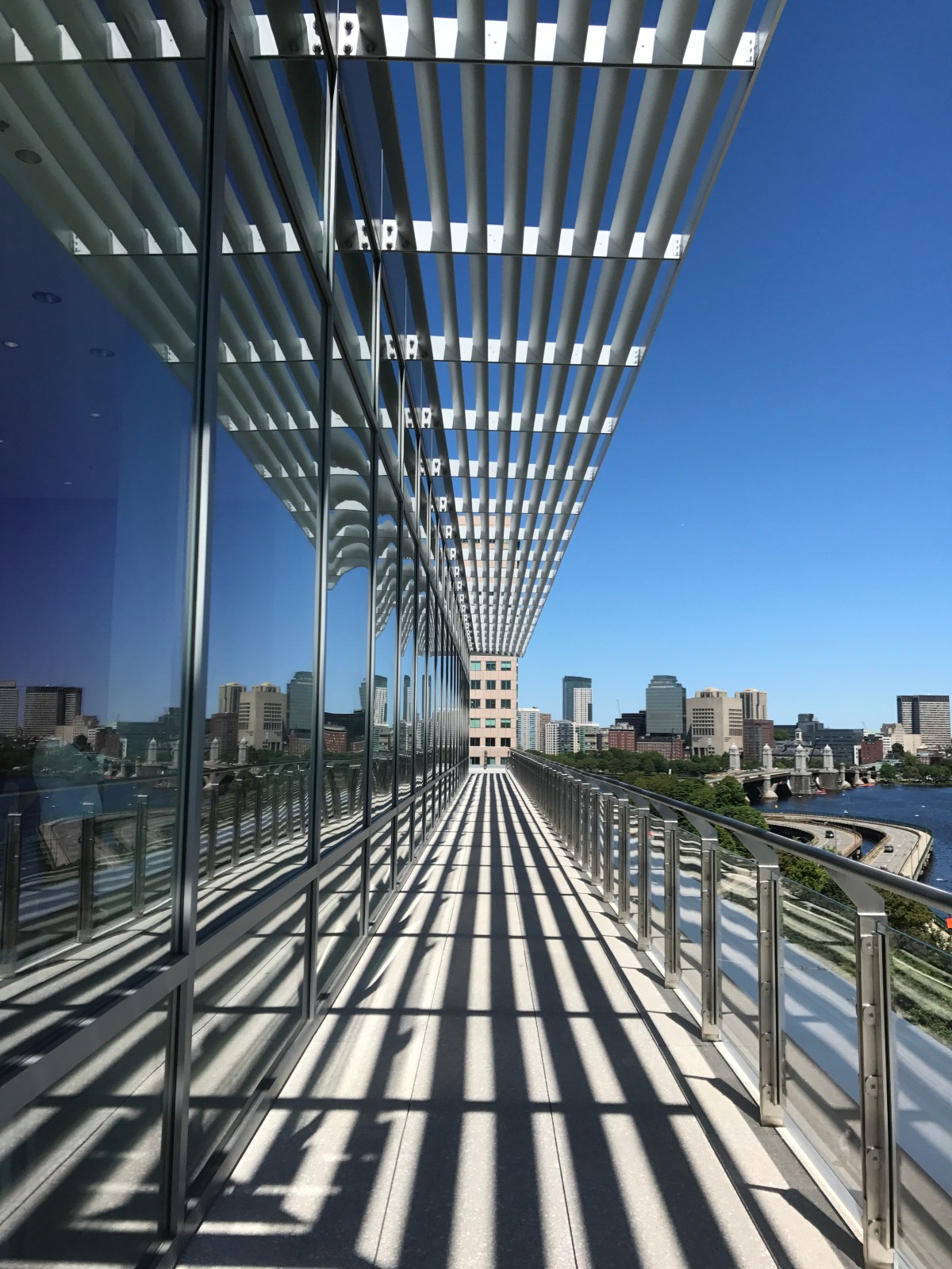 lines and perspective