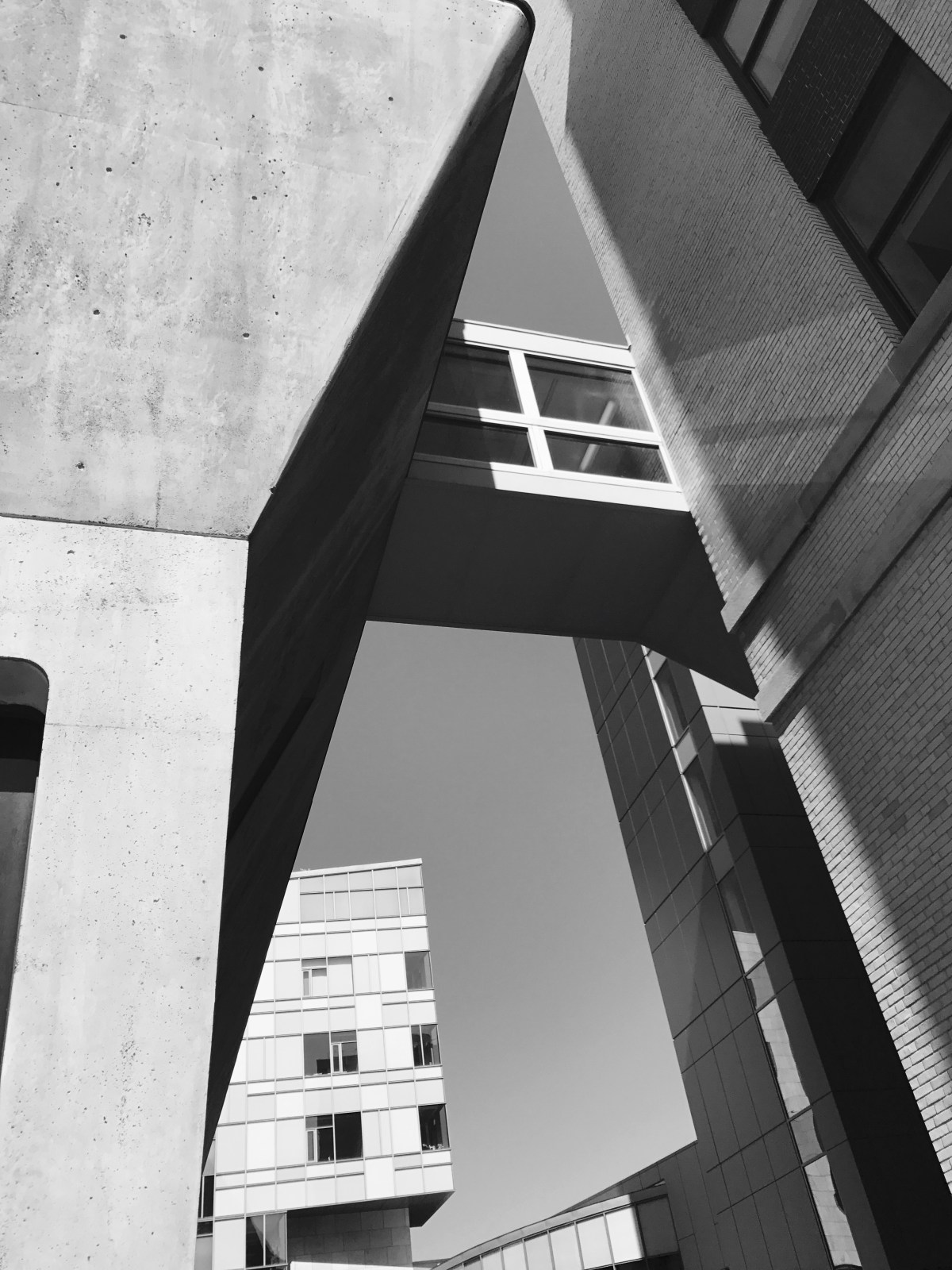 busy day ending in black &&nbsp;white